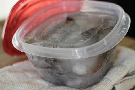 To freeze shrimp, cover with ice water, leaving enough headspace in the container for the water to expand when frozen. Photo by Vanda Lewis.