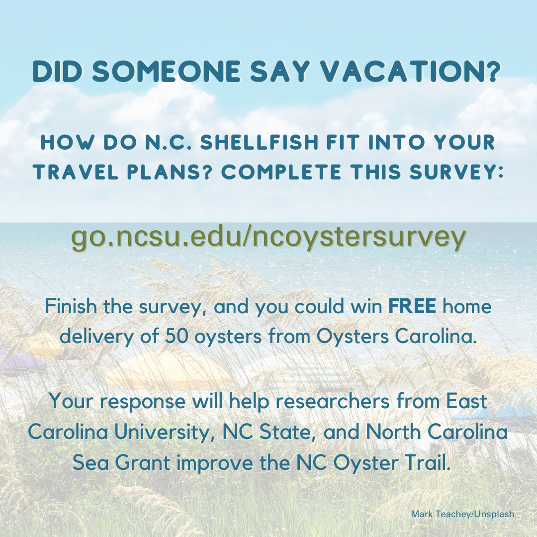 An Instagram-size image inviting people to take the oyster tourism survey.