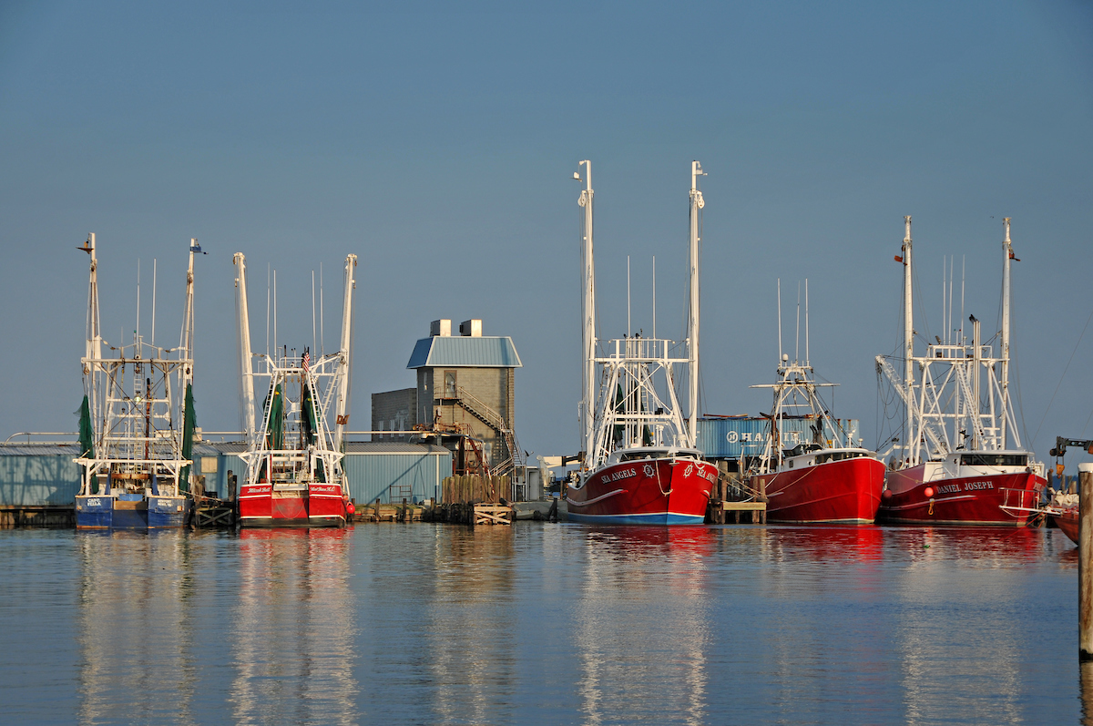 The sun sets on shrimp and fishing boats docked along Raccoon Creek in Oriental.