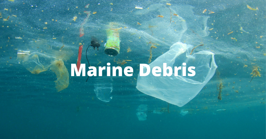 National Marine Debris Challenge Competition Open: Sea Grant Program ...