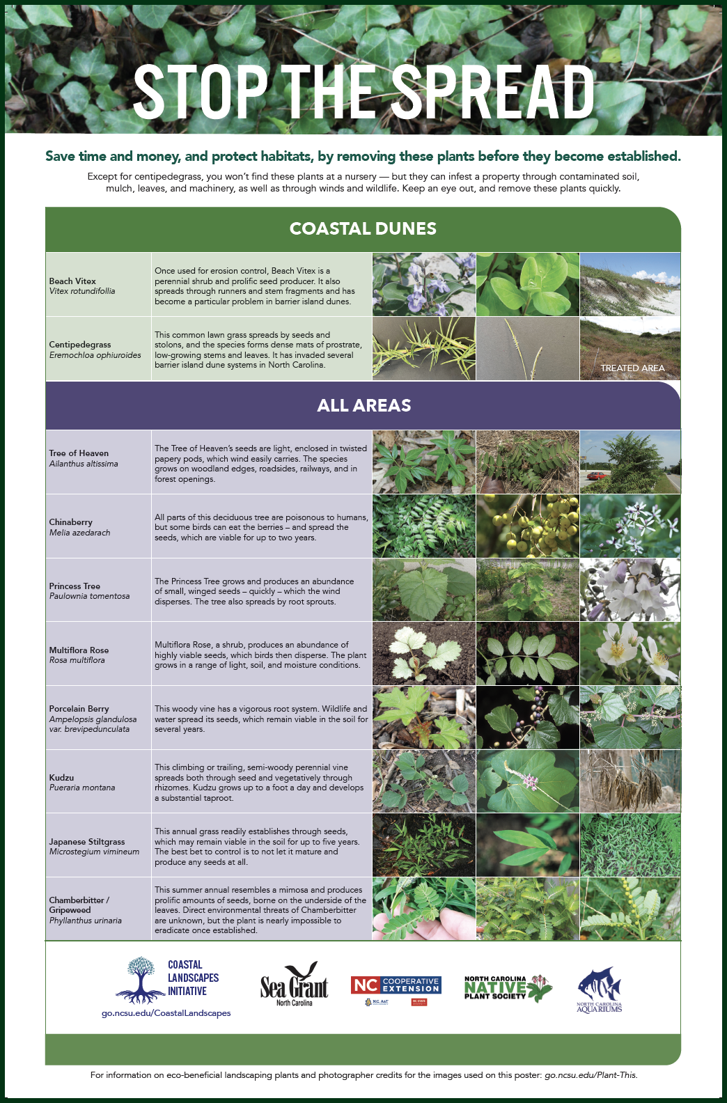 image: Stop the Spread and Don't Plant a pest poster.