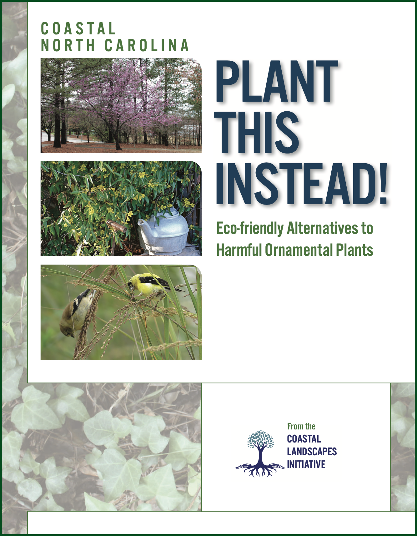 cover image for PLANT THIS INSTEAD!