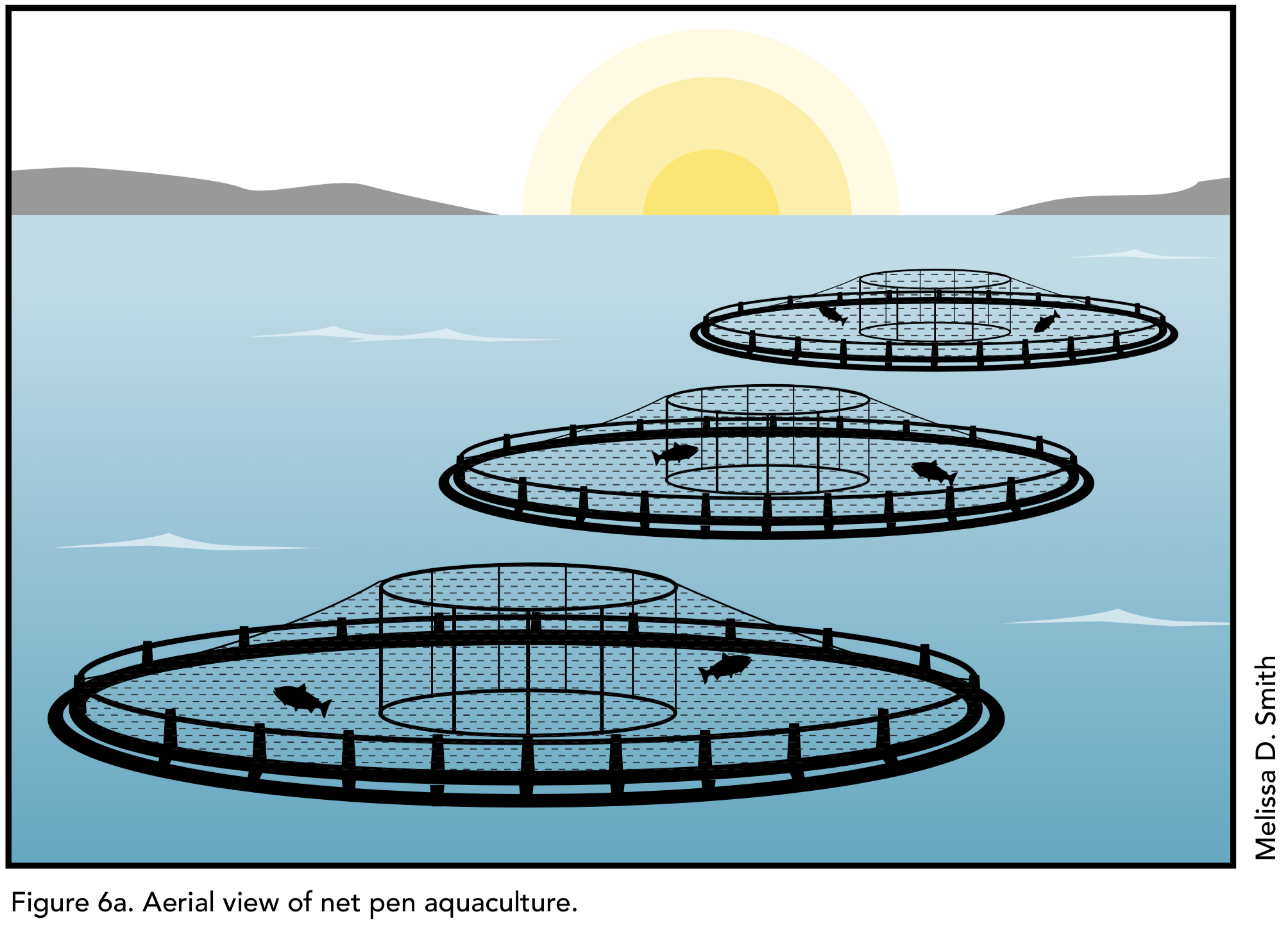 Lesson 5: Aquaculture Production Methods and Policy | North Carolina ...
