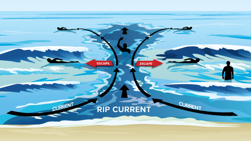 an illustration on how to escape a rip current by swimming parallel to the beach and calling for aid