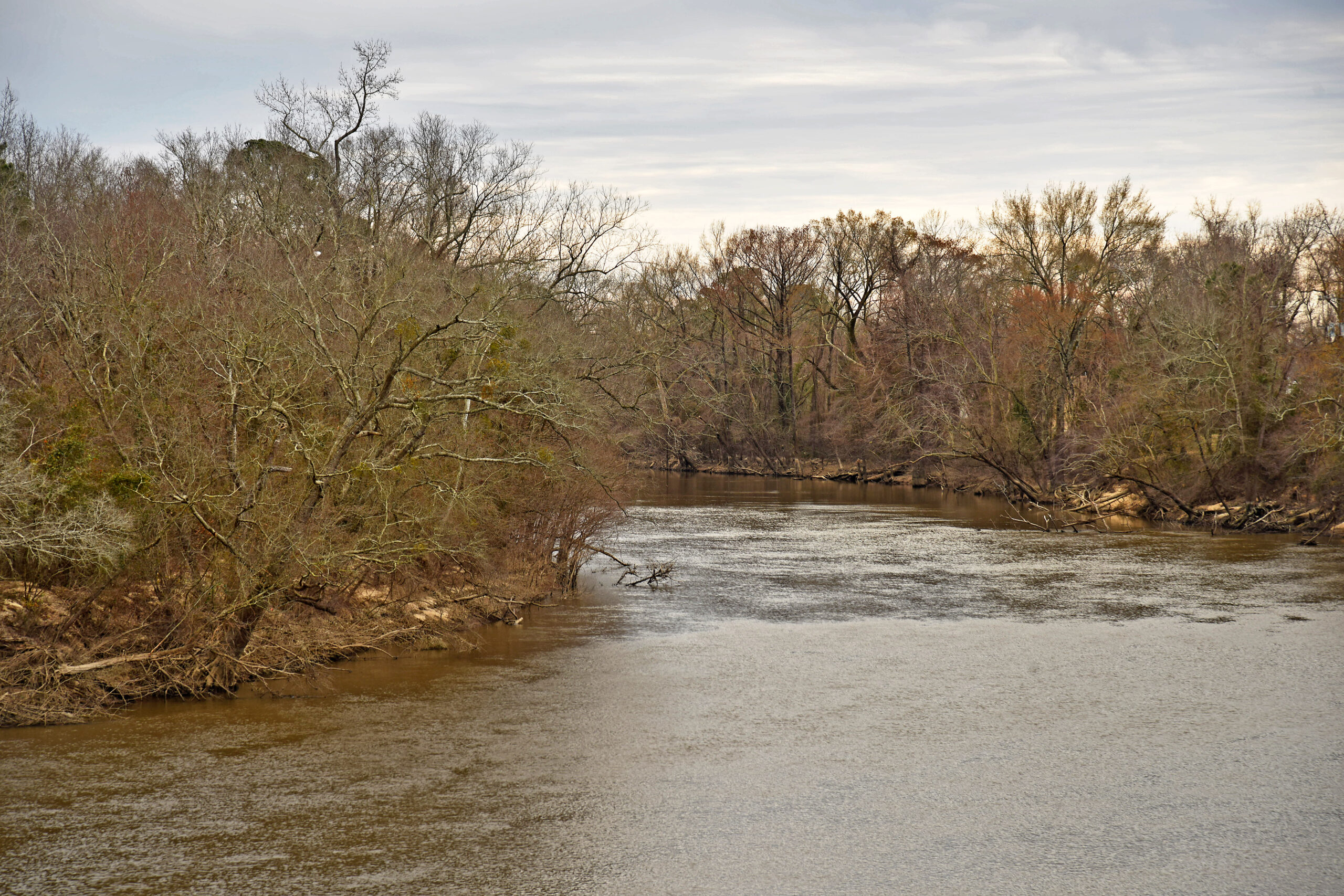 image: Neuse River during winter.