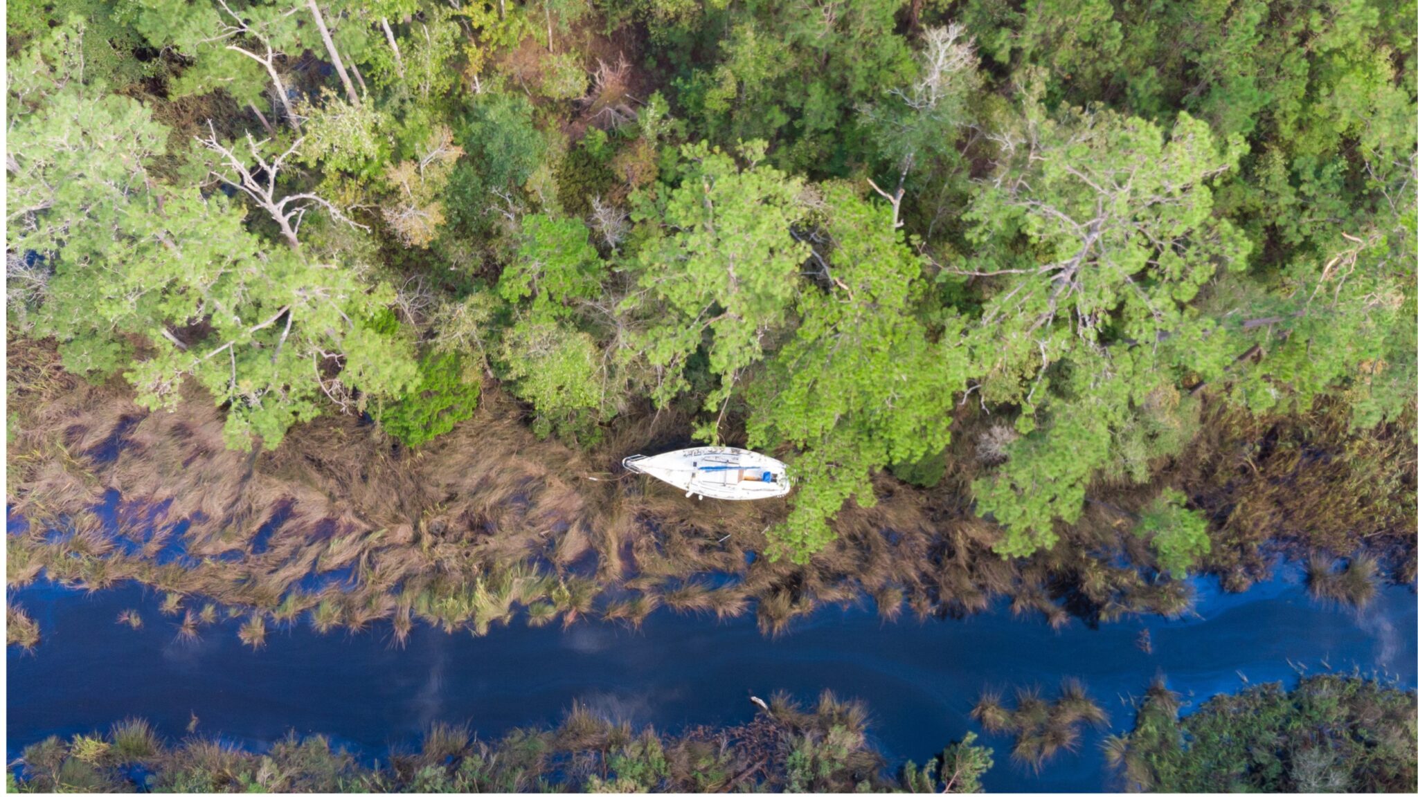 Safety Matters Tropical Systems, King Tides and Warm Waters North