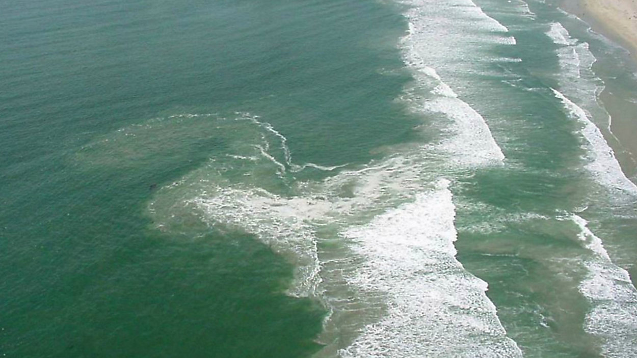 An aerial image of a rip current along a beach in North Carolina