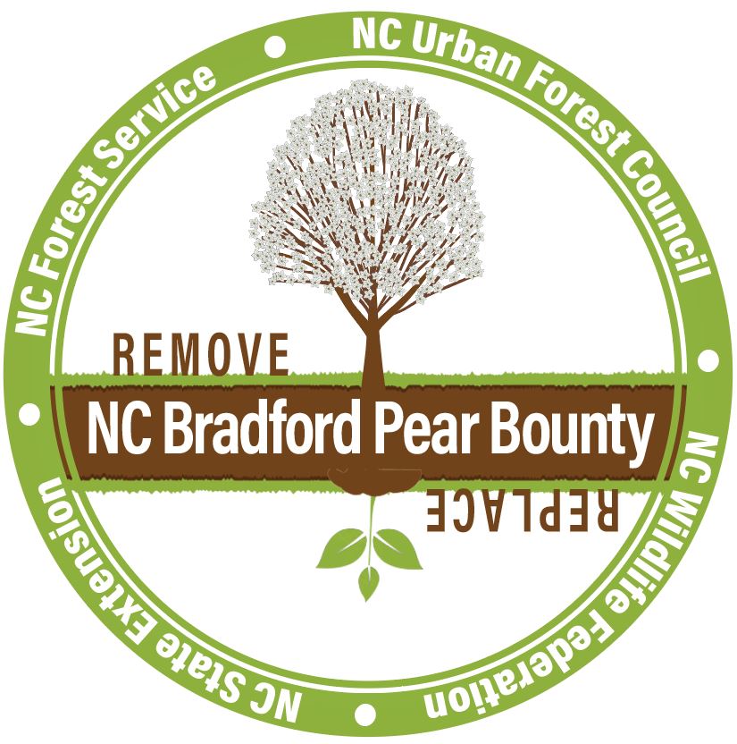 A brown tree on top with a green bloom on bottom, with the words "Remove" by the tree and "Replace" by the bloom. This is the logo for the NC Bradford Pear Bounty, which is says across the middle, and lists sponsors as NC Urban Forest Council, NC Wildlife Federation, NC State Extension, and NC Forest Service.
