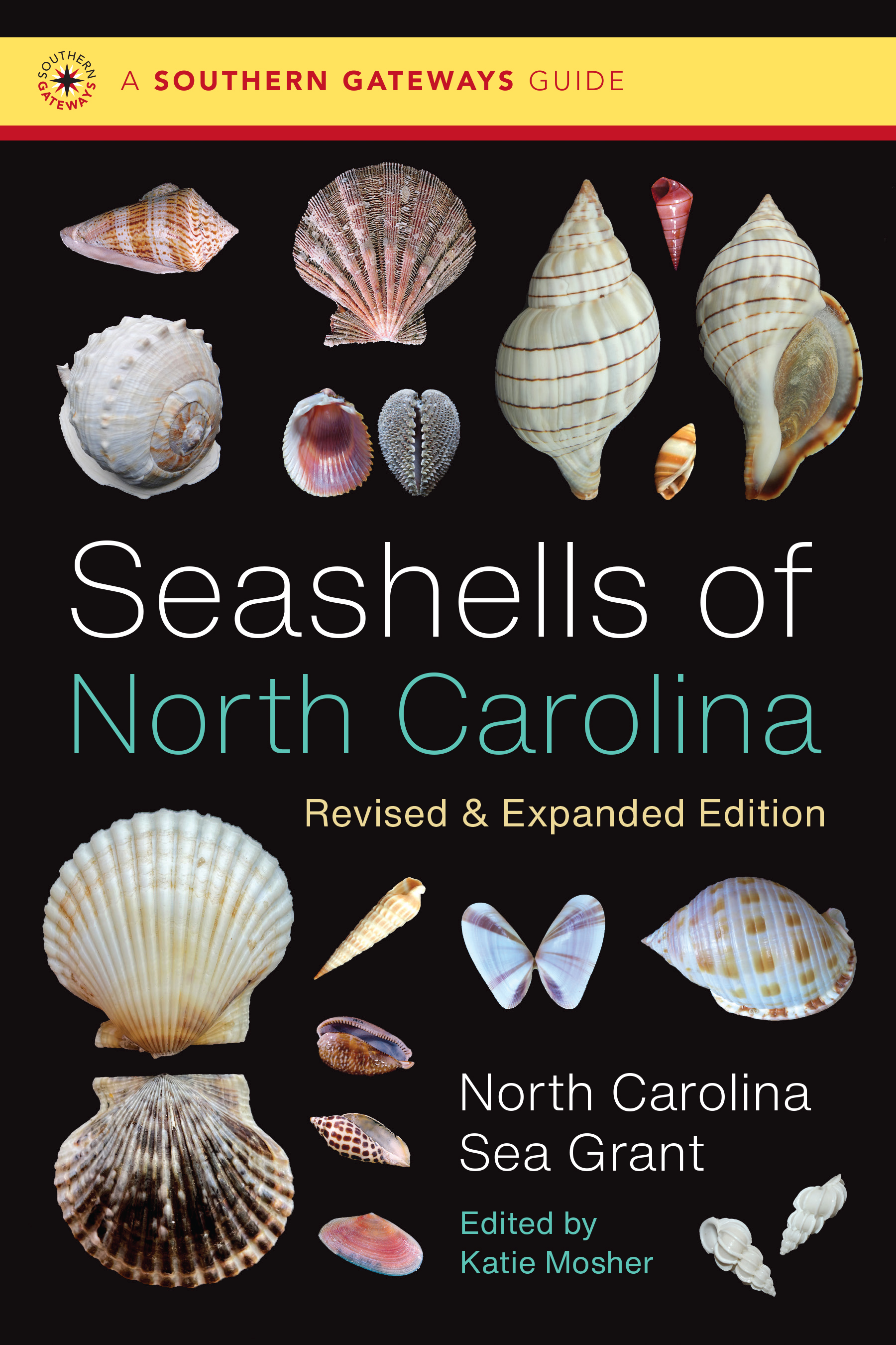 Cover of "Seashells of North Carolina" book featuring a range of different shells