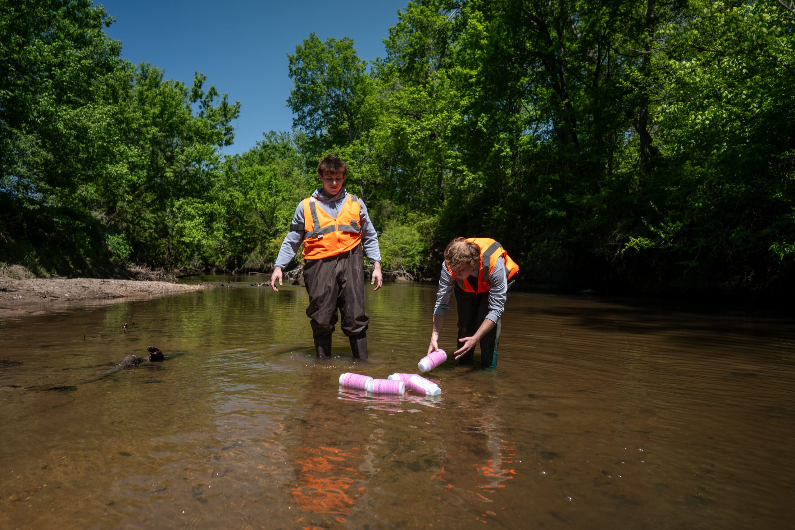 Two students wearing orange safety vests and waders release a cluster of pink GPS-tracked bottles into a shallow stream surrounded by green trees, as part of a research project tracking litter movement.
