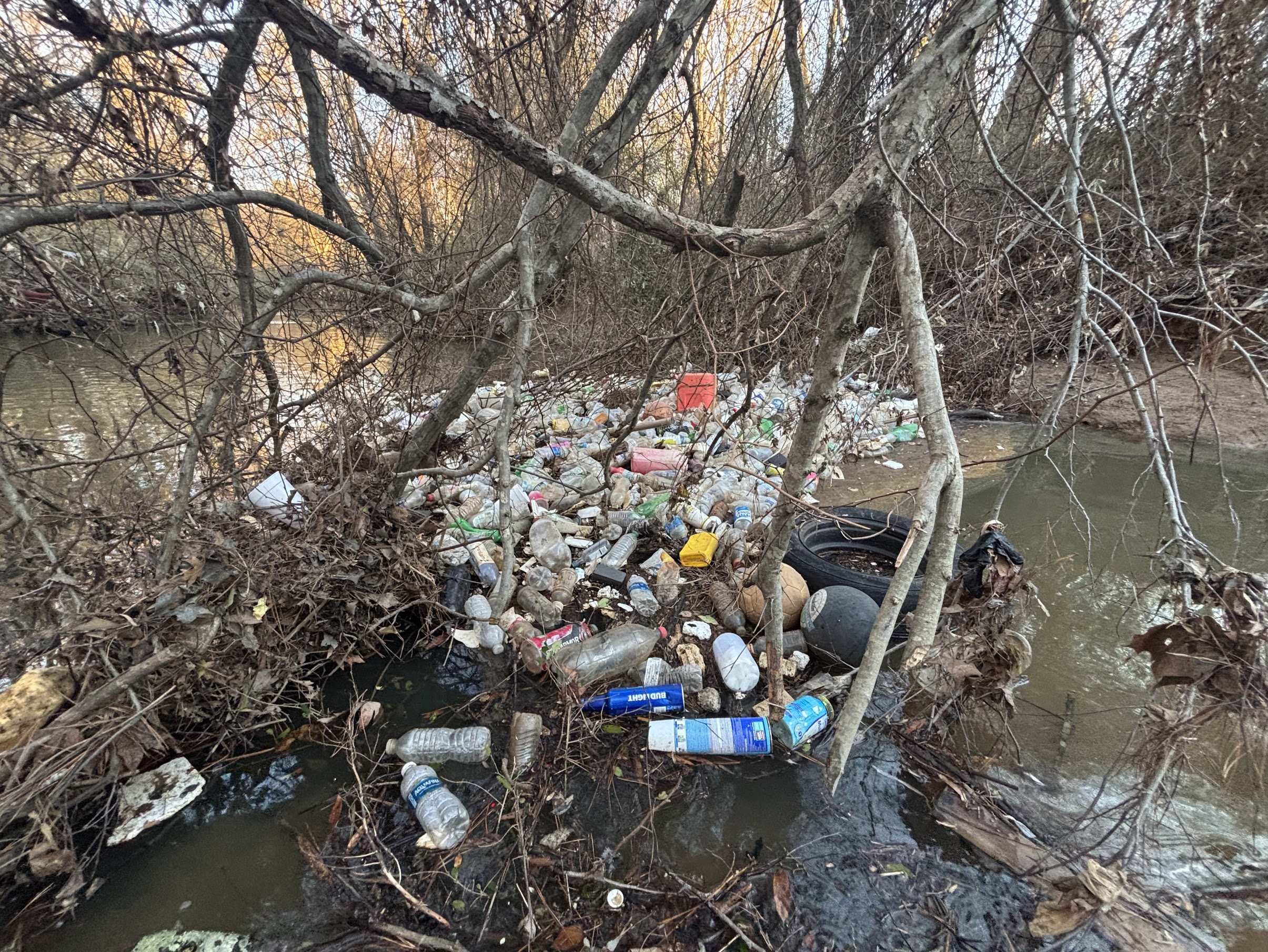 Two students wearing orange safety vests and waders release a cluster of pink GPS-tracked bottles into a shallow stream surrounded by green trees, as part of a research project tracking litter movement.