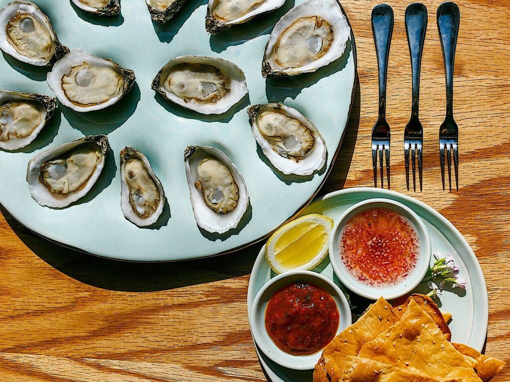 image: oysters on the half shell.