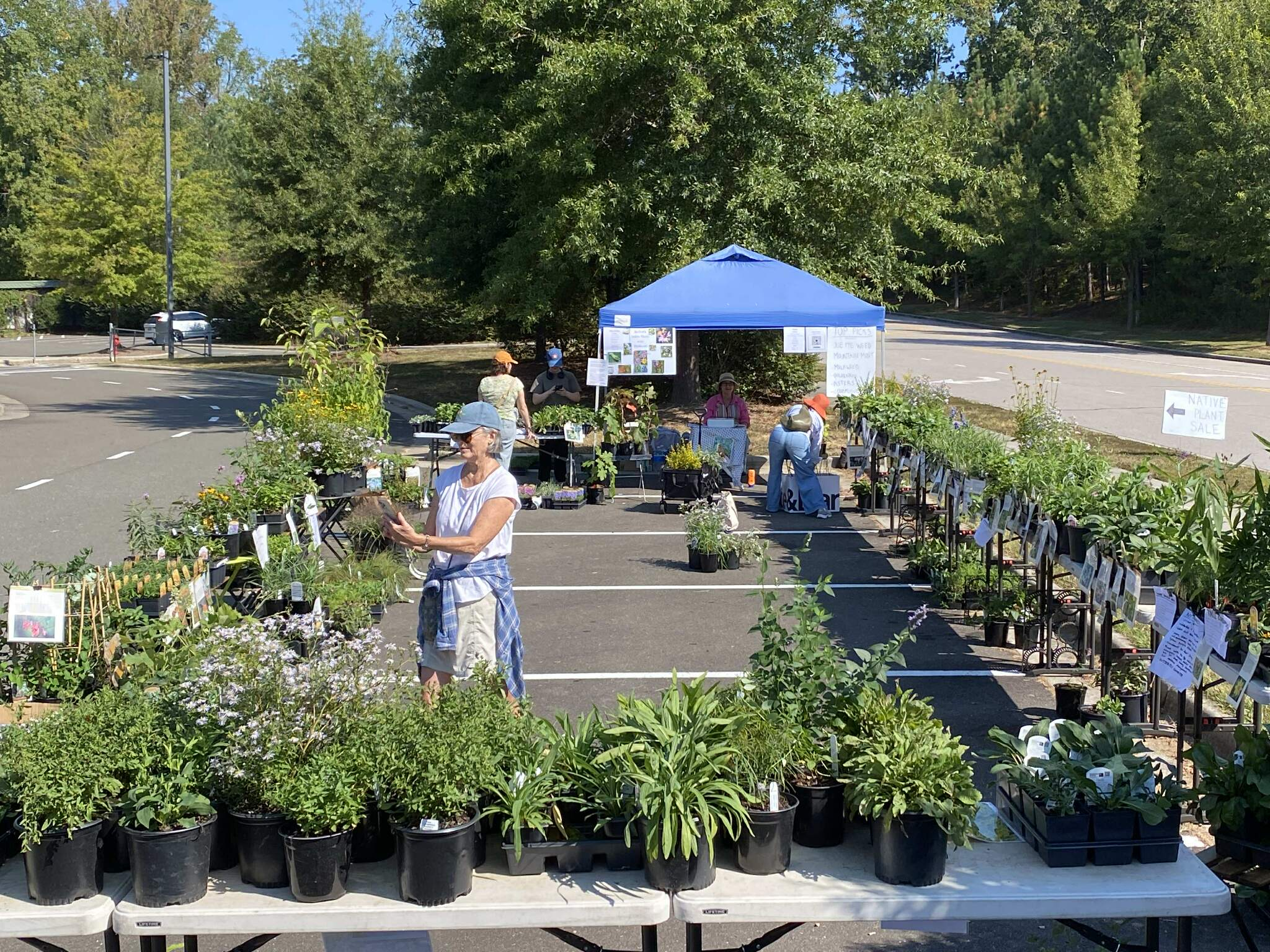 A woman looks at potted native plants at a garden center
